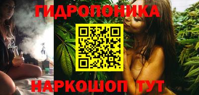 стаф Краснодар