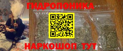 стаф Краснодар