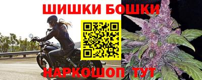 стаф Краснодар