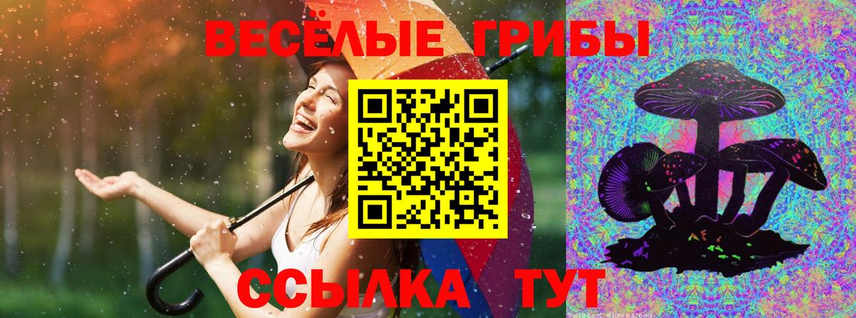 Коряжма  Псилоцибиновые грибы прущие грибы  Псилоцибиновые грибы Magic Shrooms  Вход с VPN 